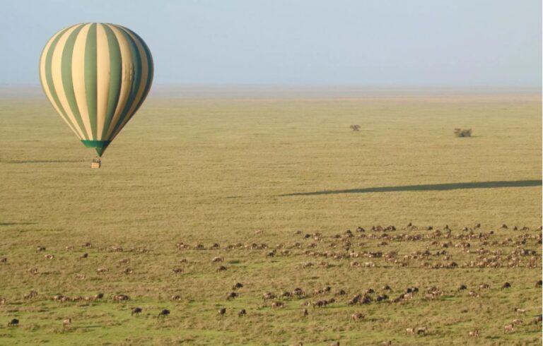 The Land Rewards Those Who Respect Process